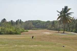 Tobago Plantations 15th